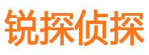 庆安婚外情调查取证